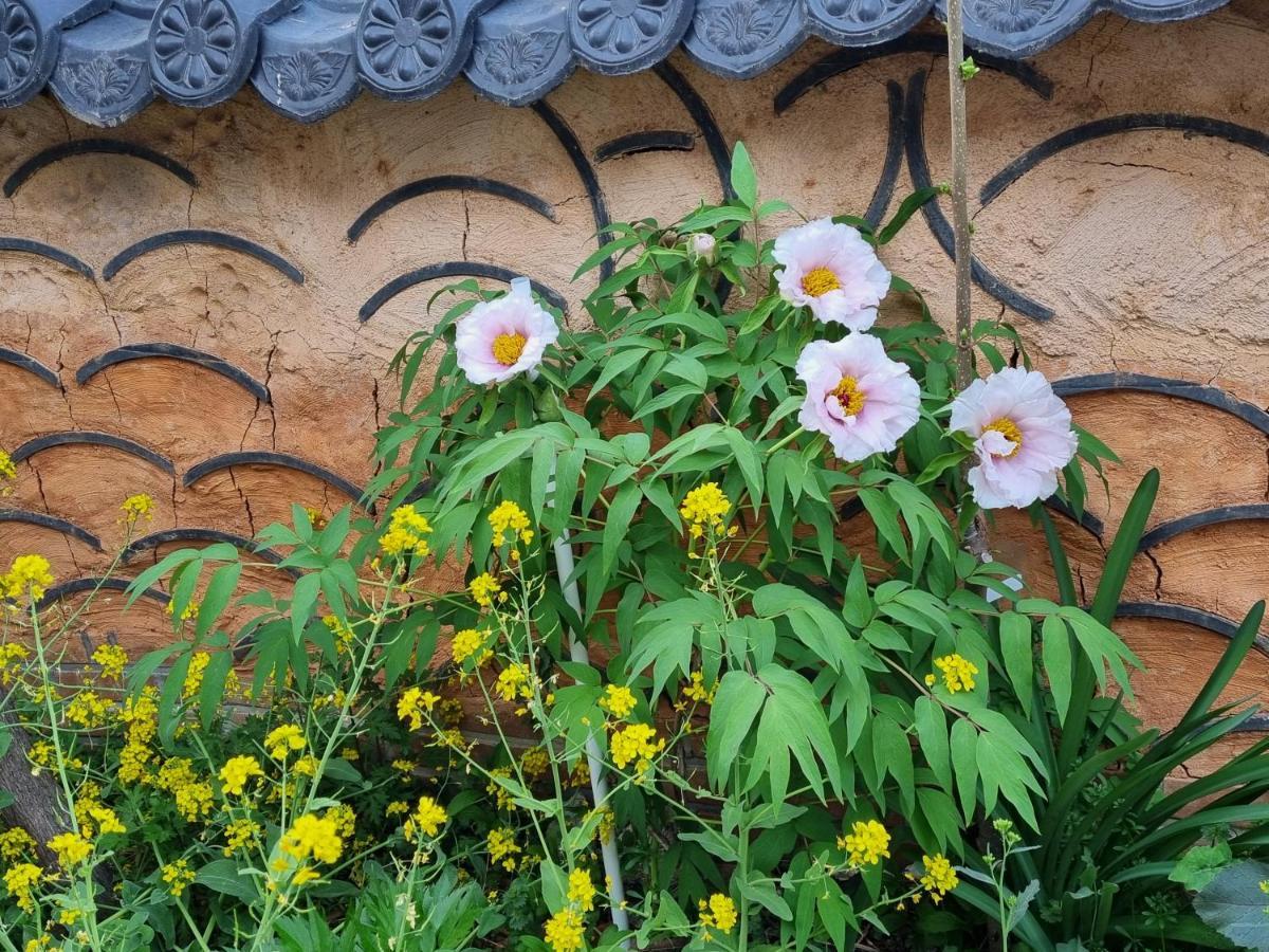 Dasomchae Hanok Stay Gwangju Metropolitan City Eksteriør bilde